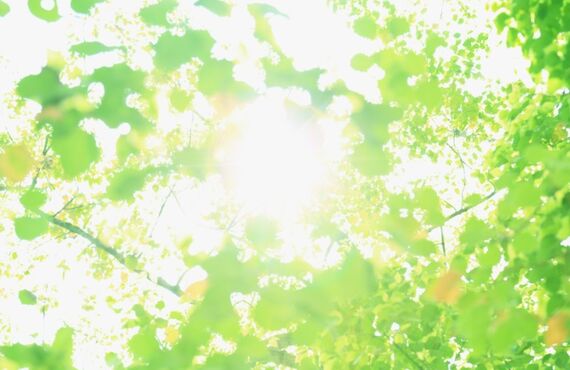 広島で腸活ダイエットならSlen（スレン）！女性向けパーソナルトレーニングで体質改善